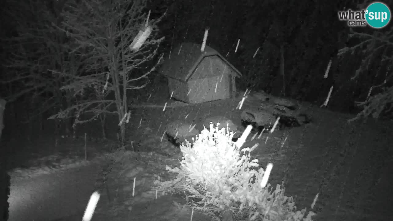 Webcam Lukanja – Pohorje houses a Water village