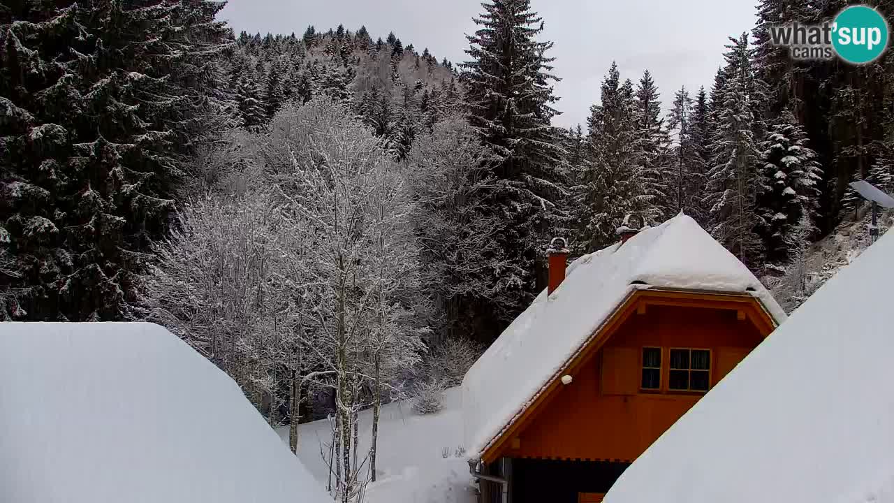 Webcam Lukanja – Water Village | Pohorje Houses