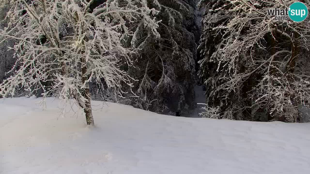 Webcam Lukanja – Pohorje houses a Water village