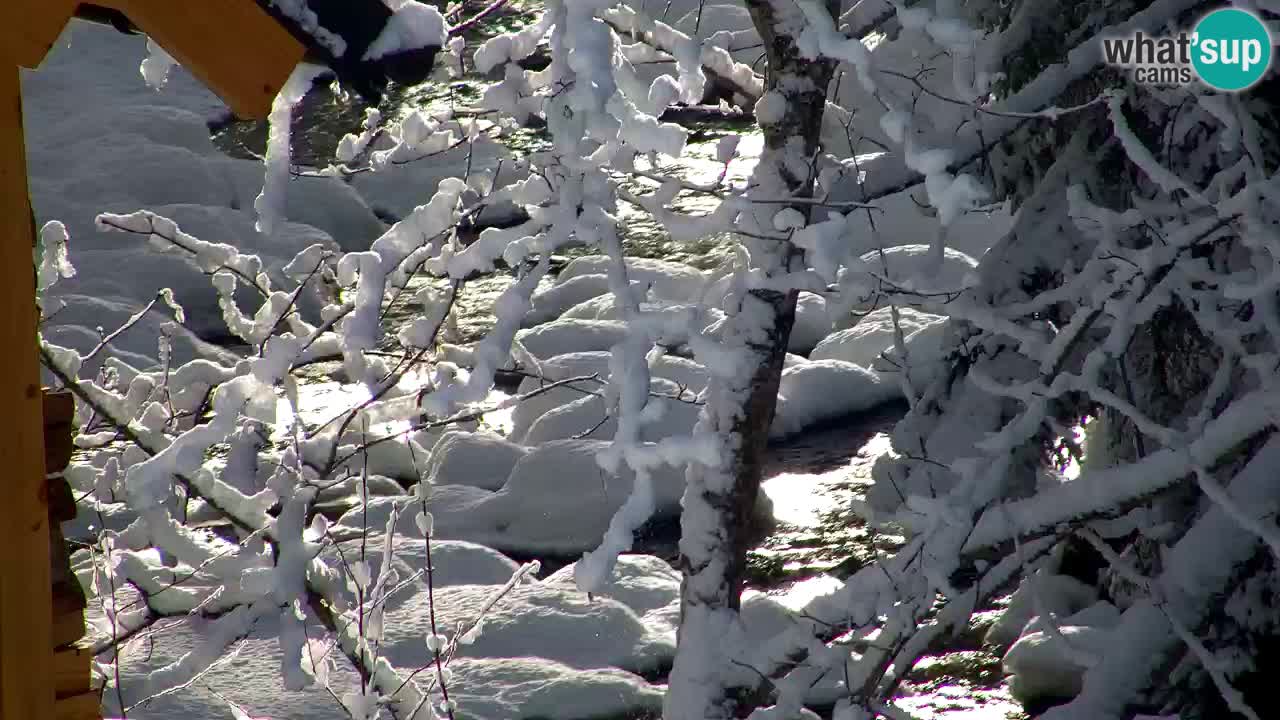 Webcam Lukanja – Water Village | Pohorje Houses