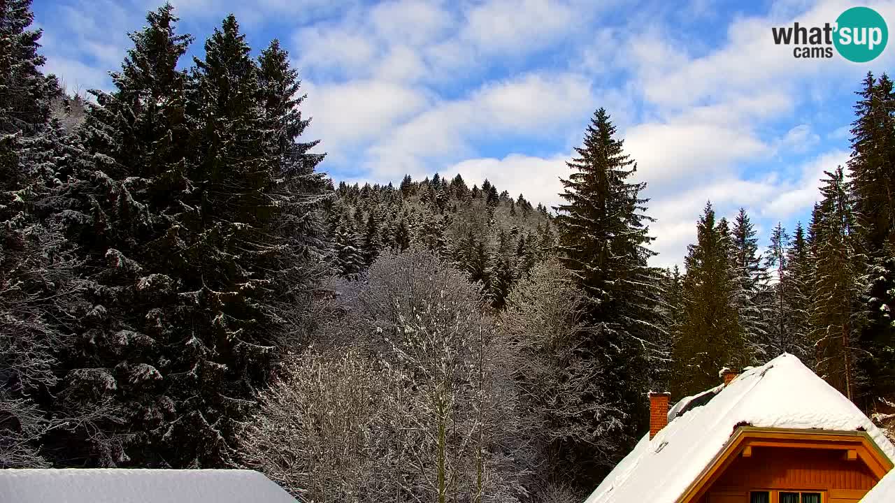 Webcam Lukanja – Pohorje houses a Water village