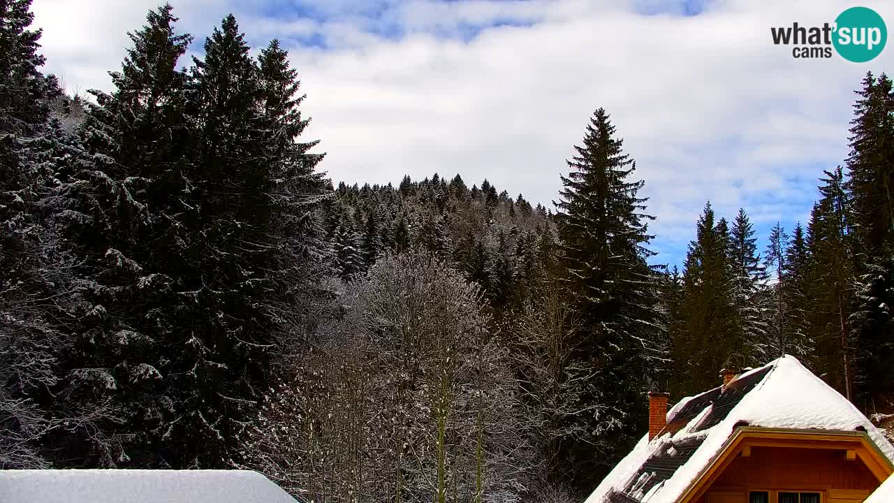 Webcam Lukanja – Water Village | Pohorje Houses