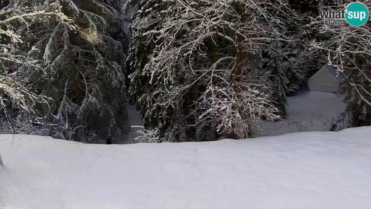 Webcam Lukanja – Water Village | Pohorje Houses