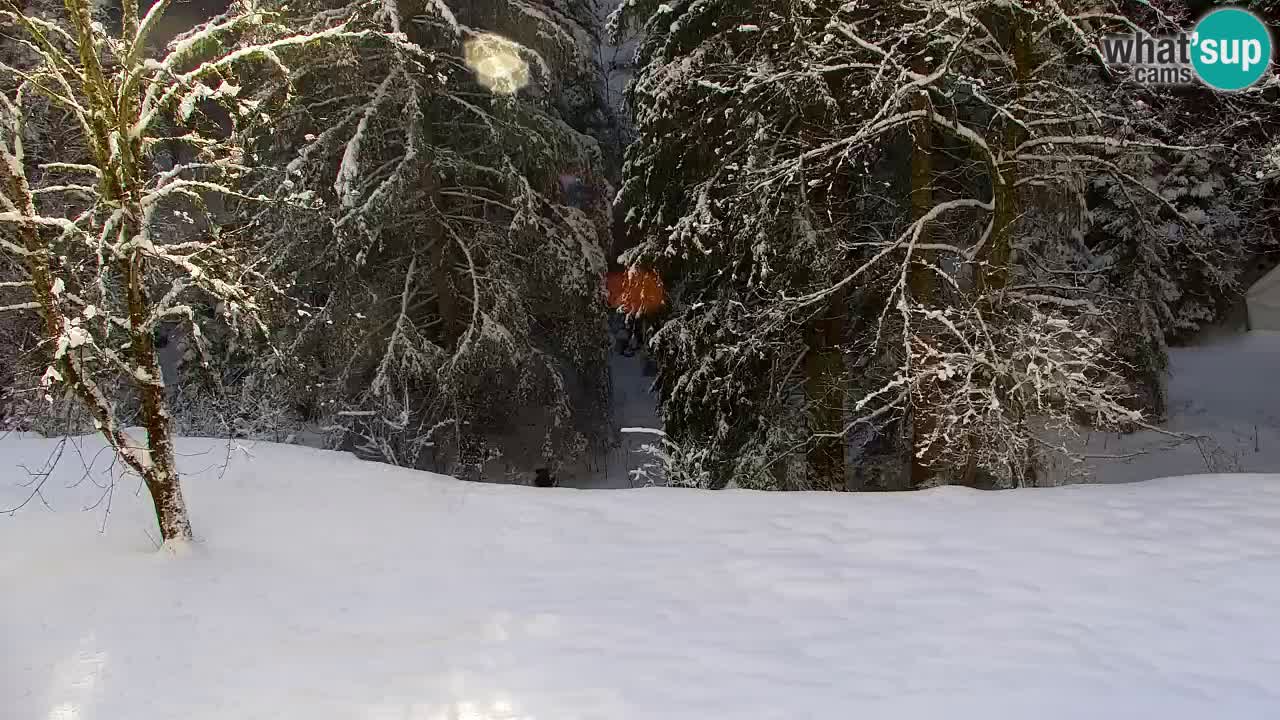 Webcam Lukanja – Water Village | Pohorje Houses