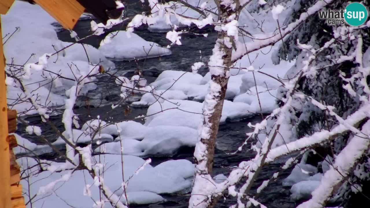 Webcam Lukanja – Water Village | Pohorje Houses