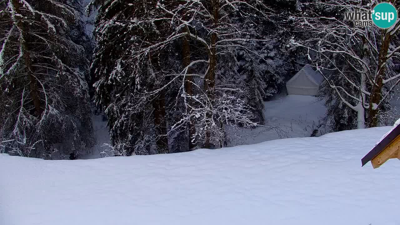 Webcam Lukanja – Pohorje houses a Water village