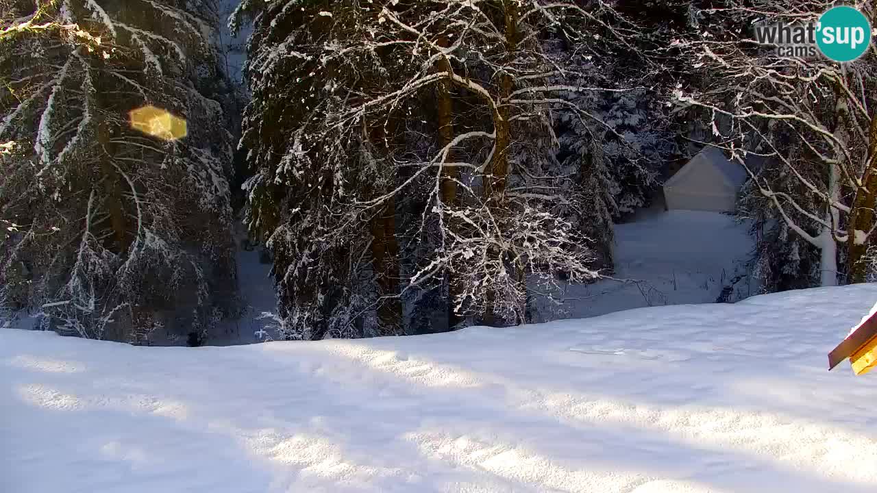Spletna kamera Lukanja – Water Village | Pohorje Houses