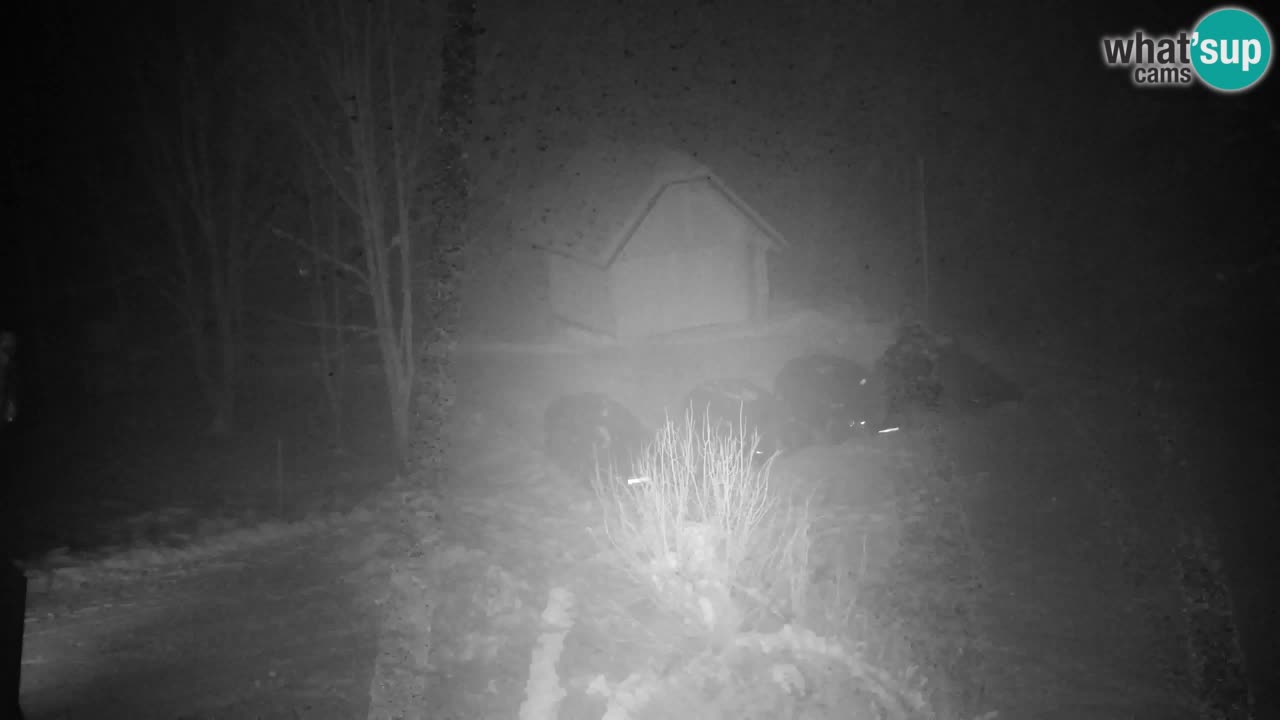 Webcam Lukanja – Pohorje houses a Water village