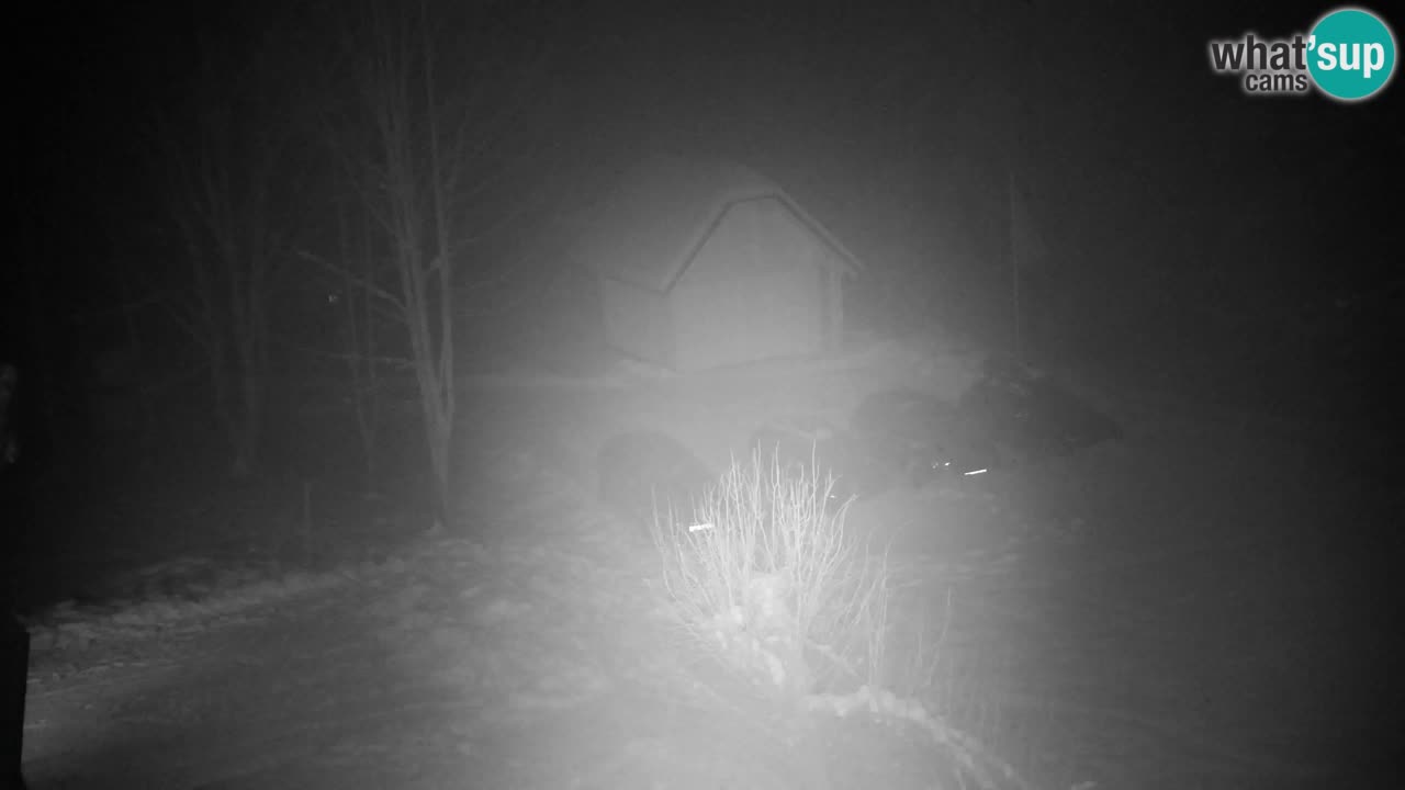 Webcam Lukanja – Water Village | Pohorje Houses