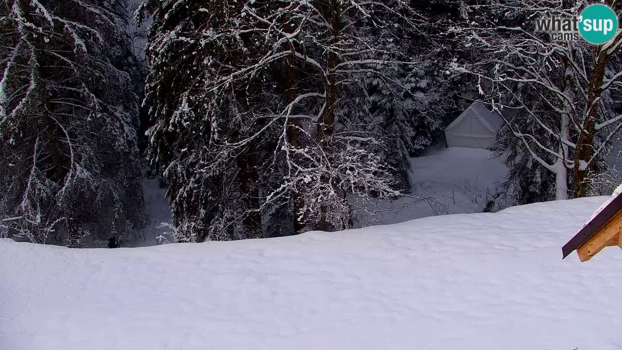 Webcam Lukanja – Pohorje houses a Water village