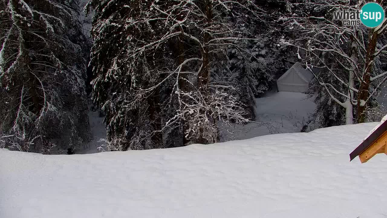 Webcam Lukanja – Water Village | Pohorje Houses