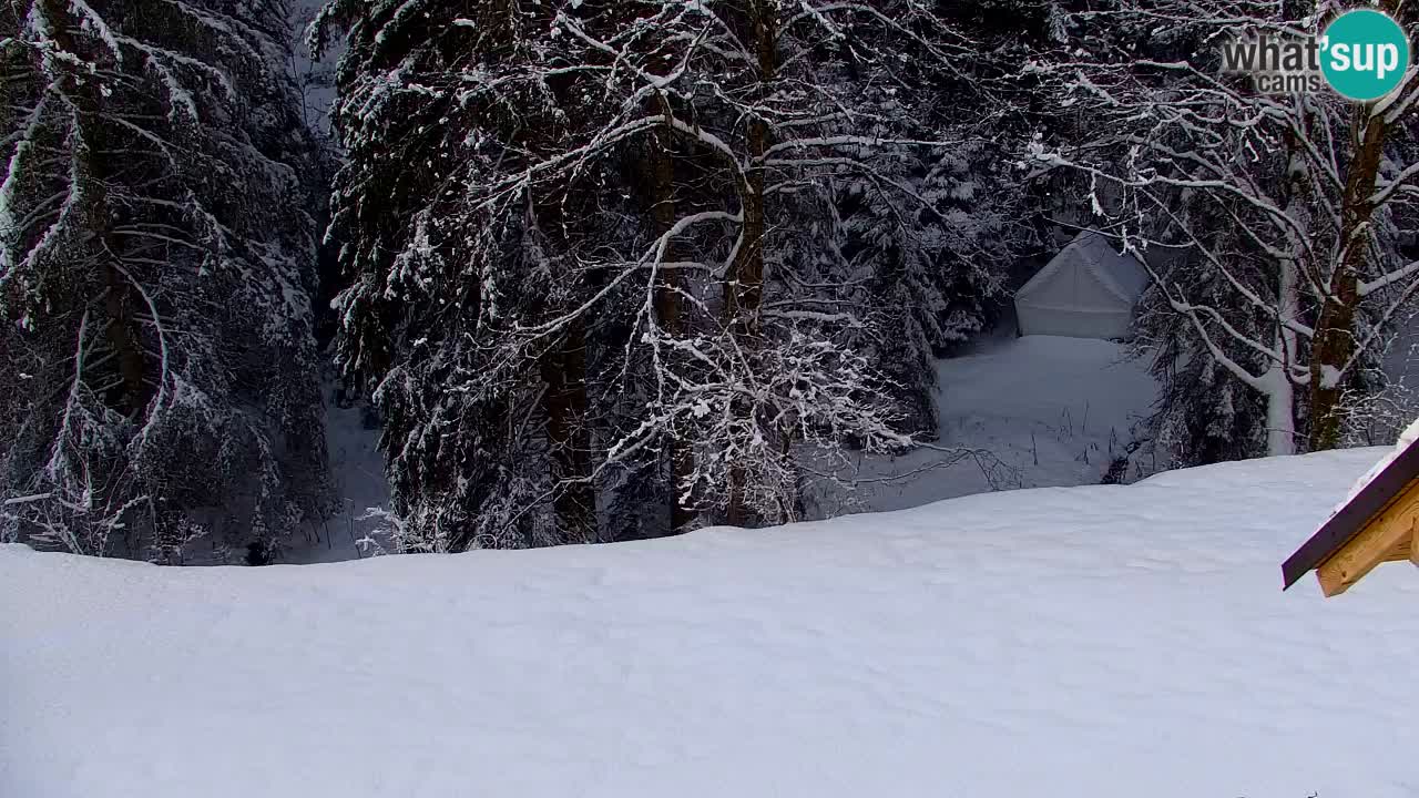 Webcam Lukanja – Pohorje houses a Water village