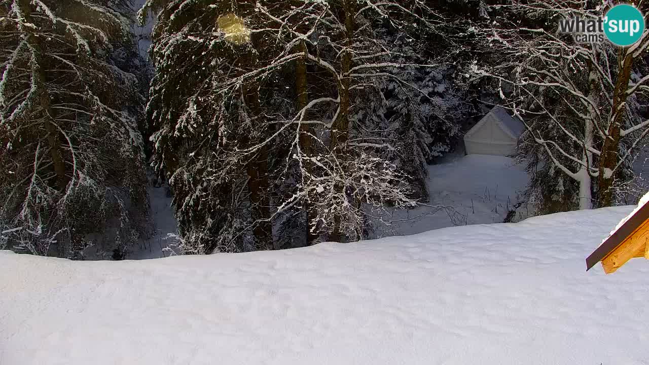 Webcam Lukanja – Water Village | Pohorje Houses