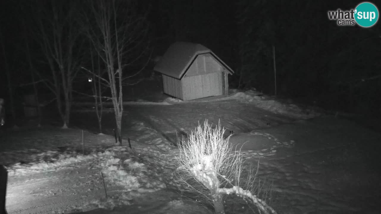 Webcam Lukanja – Pohorje houses a Water village