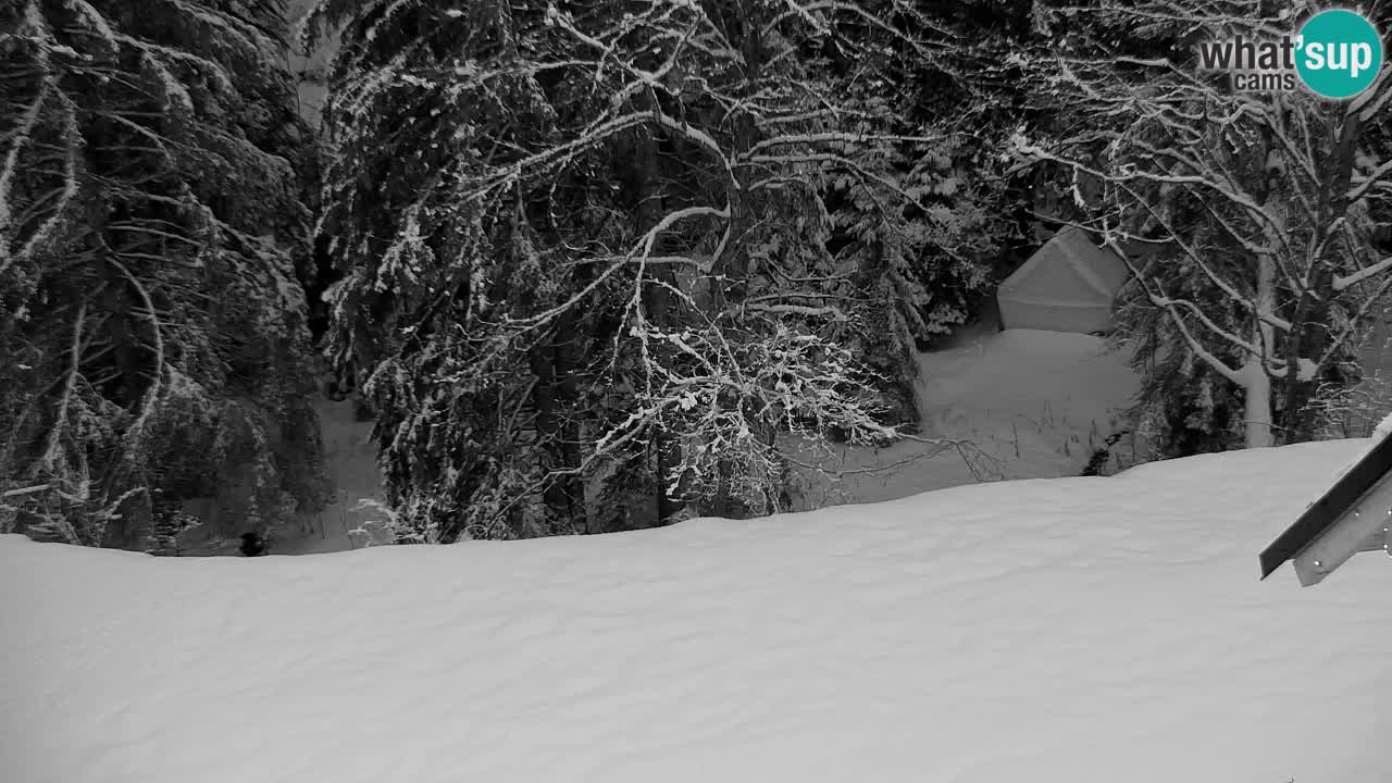 Webcam Lukanja – Pohorje houses a Water village