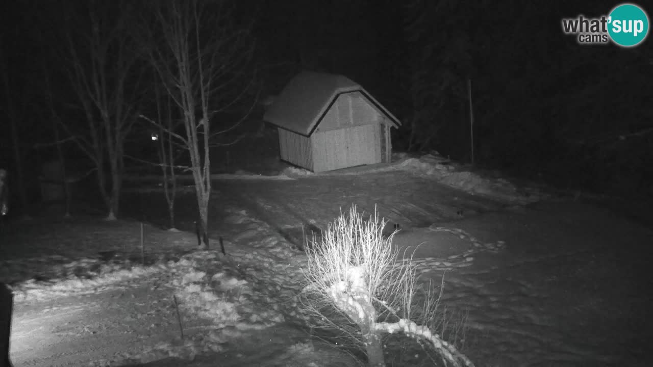 Spletna kamera Lukanja – Water Village | Pohorje Houses