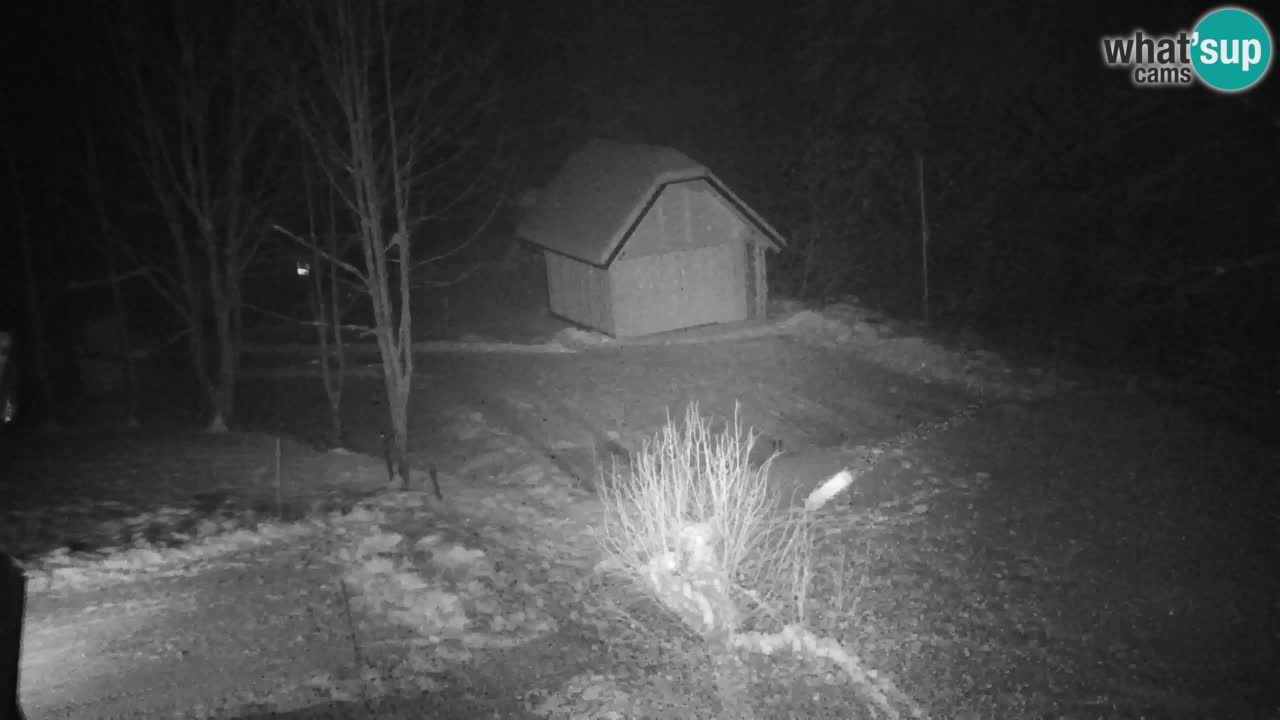 Webcam Lukanja – Pohorje houses a Water village