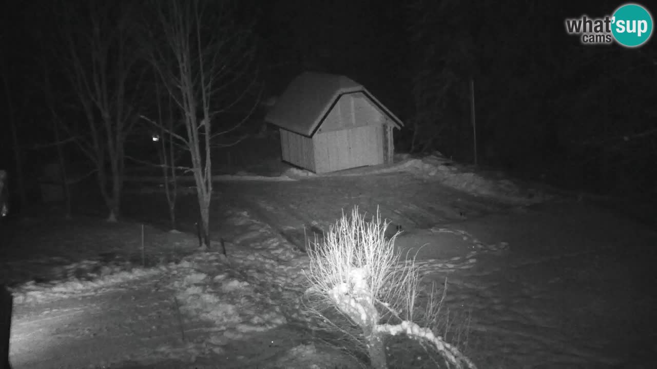 Webcam Lukanja – Pohorje houses a Water village