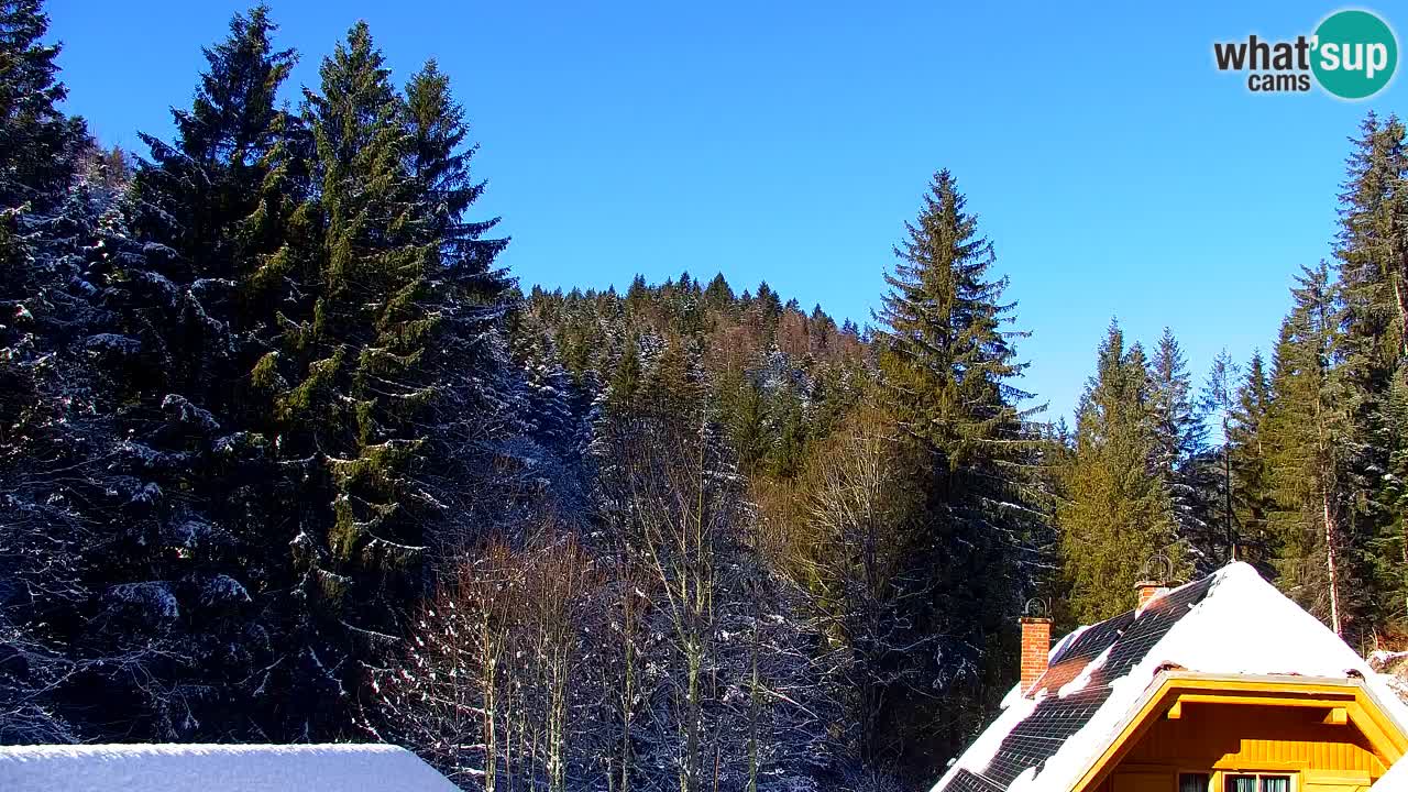 Web kamera Lukanja – Water Village | Pohorje Houses
