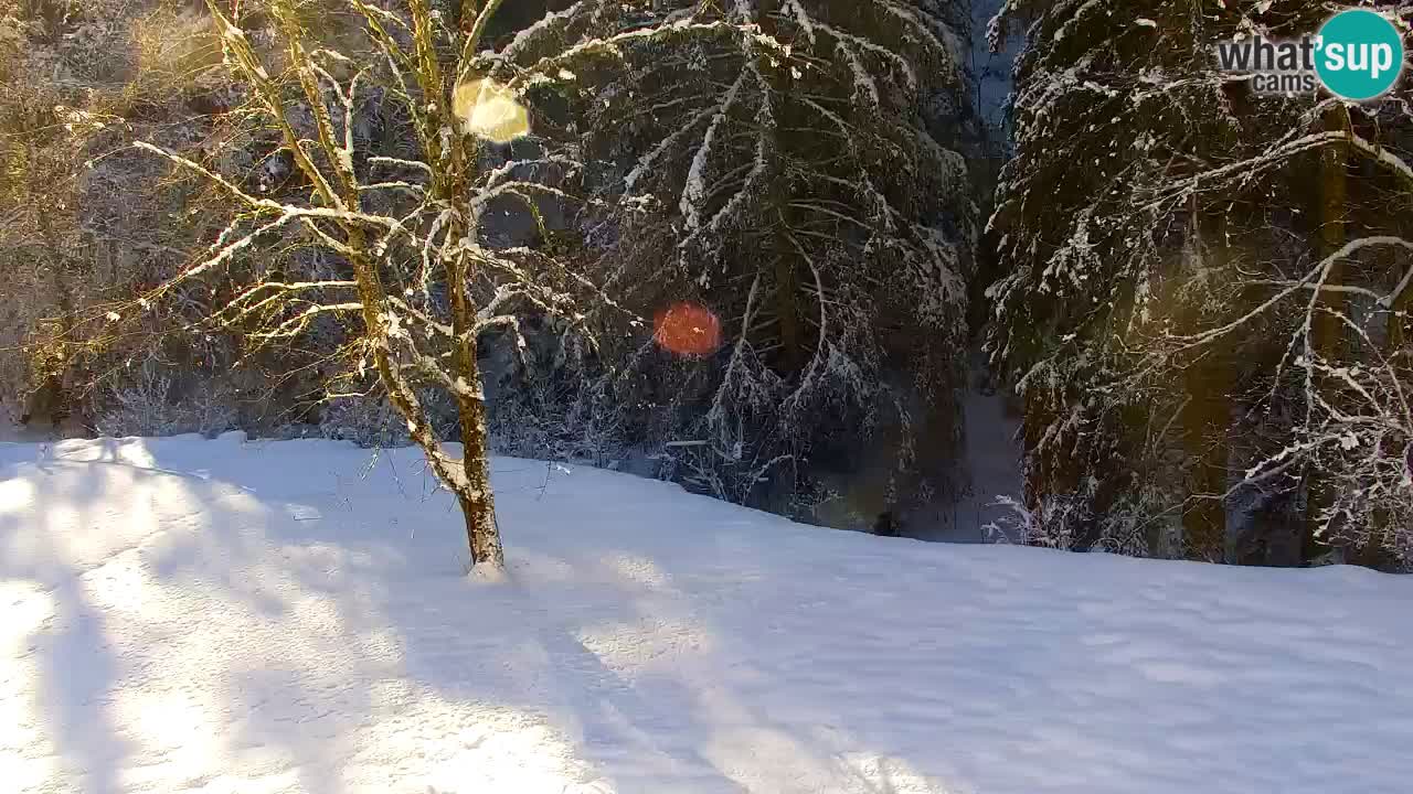 Webcam Lukanja – Pohorje houses a Water village