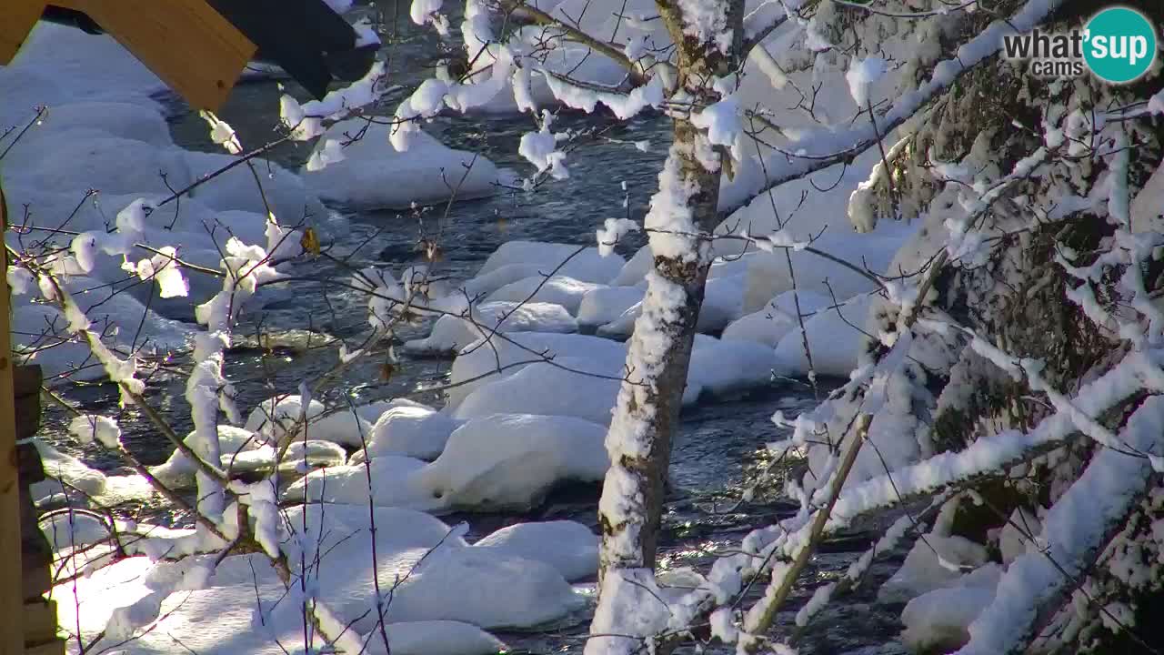 Webcam Lukanja – Pohorje houses a Water village