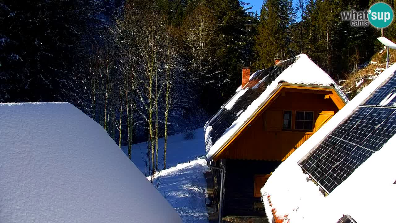 Webcam Lukanja – Water Village | Pohorje Houses