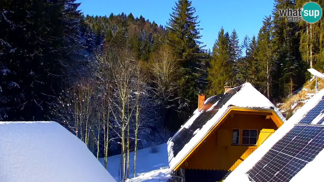 Webcam Lukanja – Water Village | Pohorje Houses