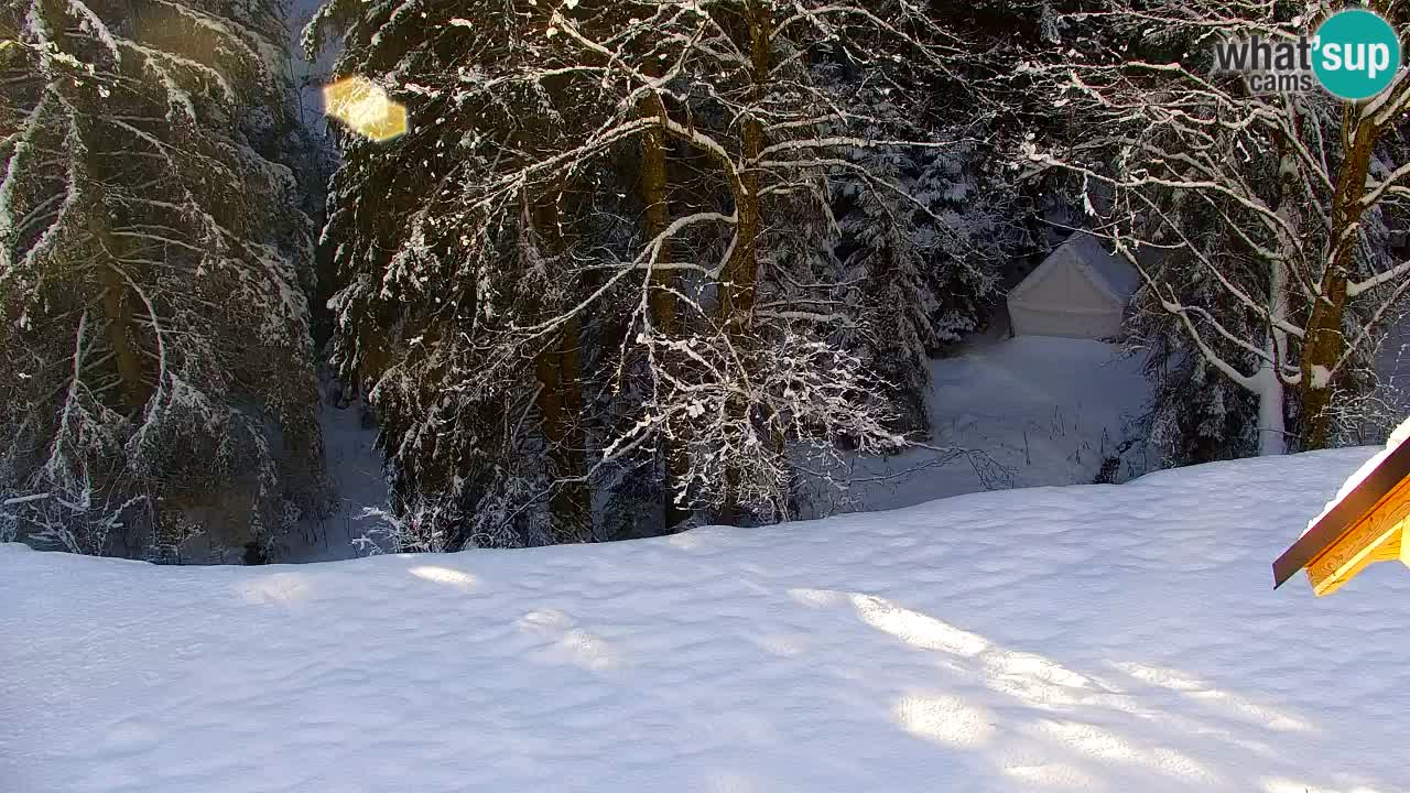 Webcam Lukanja – Pohorje houses a Water village