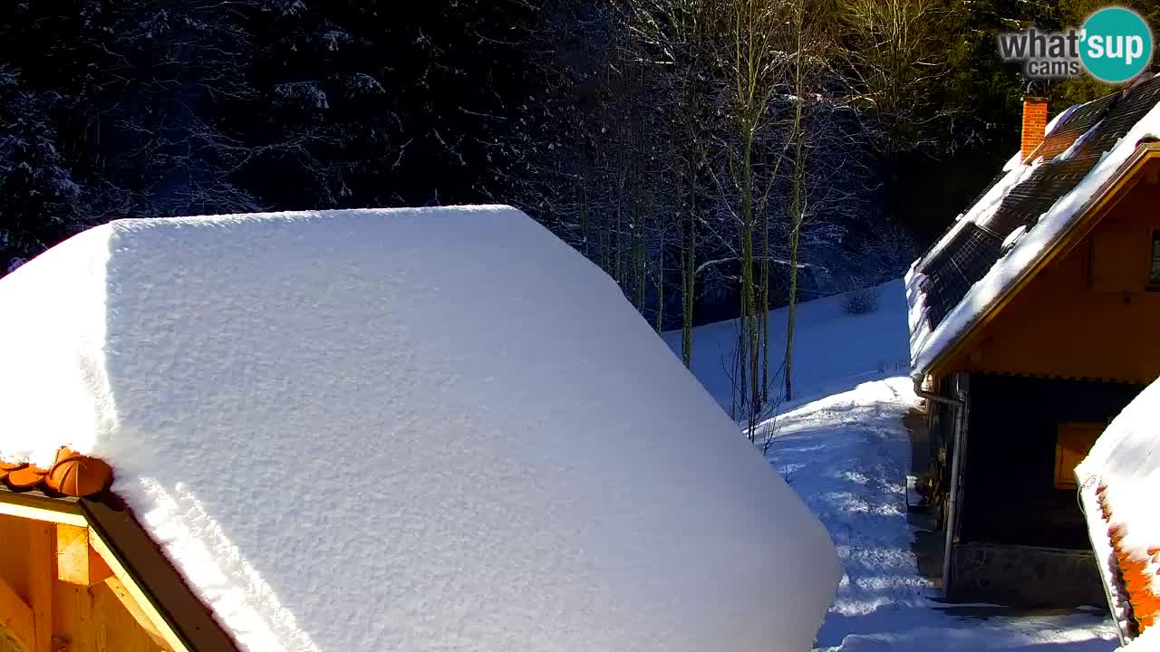 Spletna kamera Lukanja – Water Village | Pohorje Houses