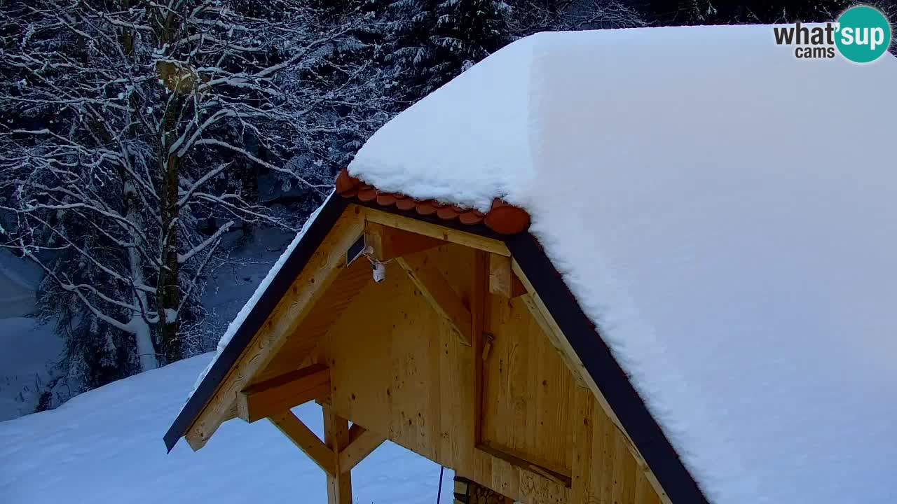 Spletna kamera Lukanja – Water Village | Pohorje Houses