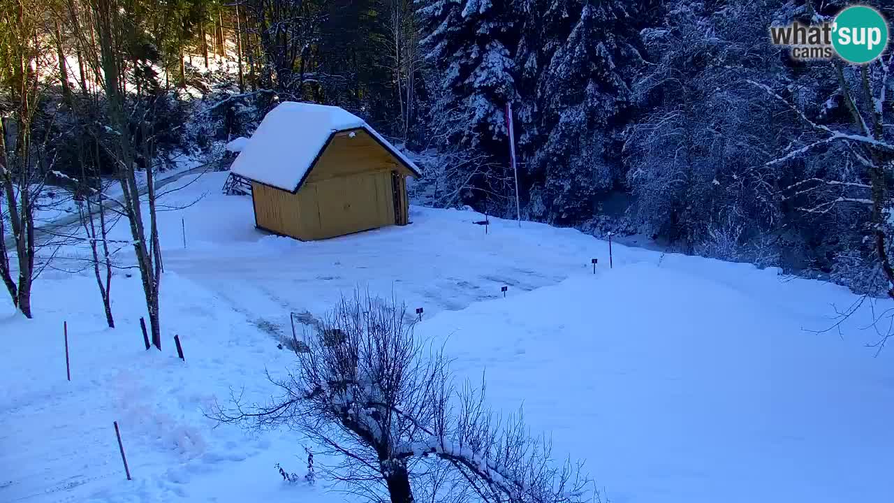 Webcam Lukanja – Water Village | Pohorje Houses