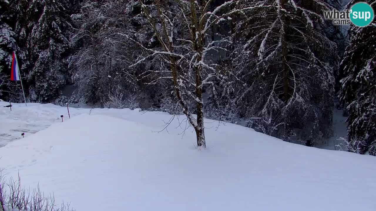 Webcam Lukanja – Pohorje houses a Water village