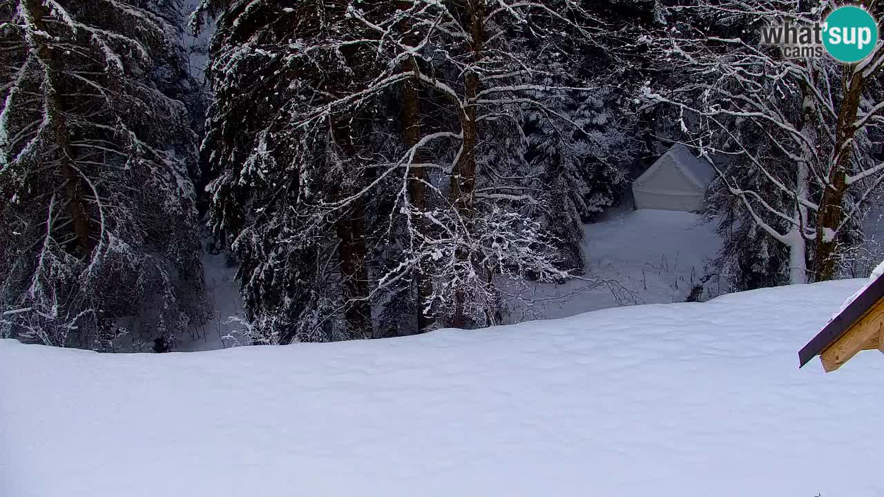 Webcam Lukanja – Water Village | Pohorje Houses