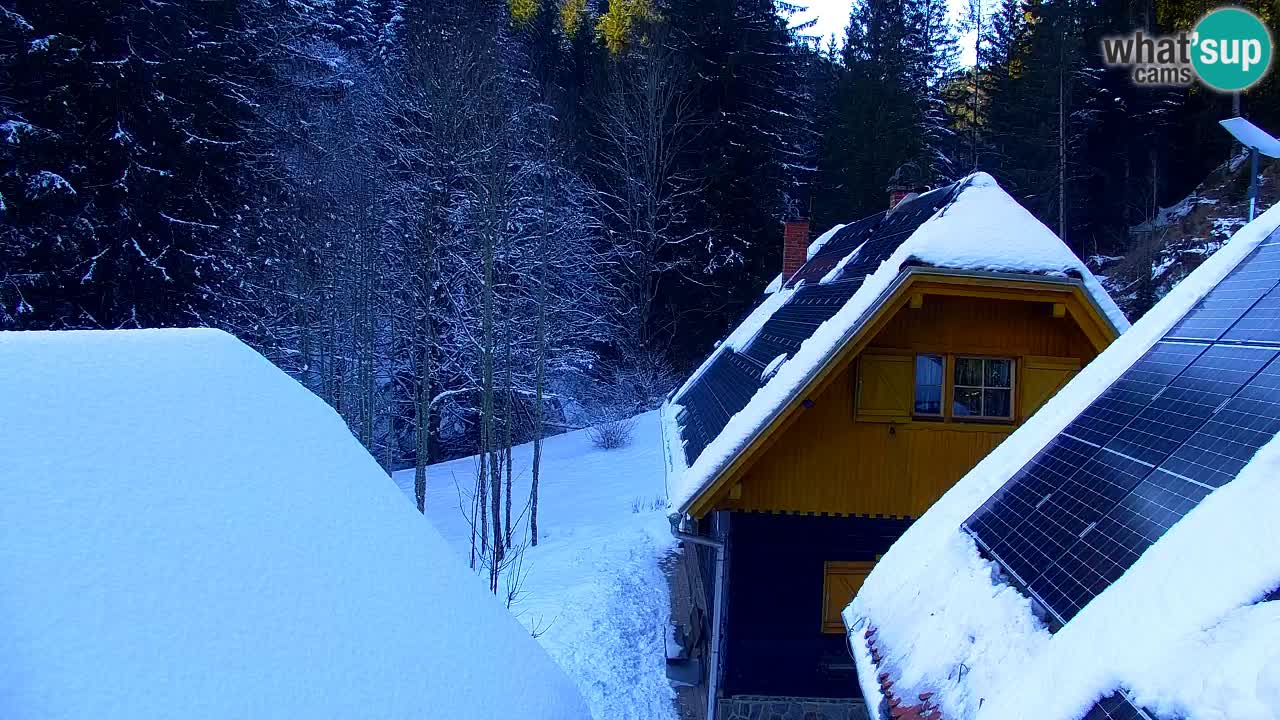 Spletna kamera Lukanja – Water Village | Pohorje Houses
