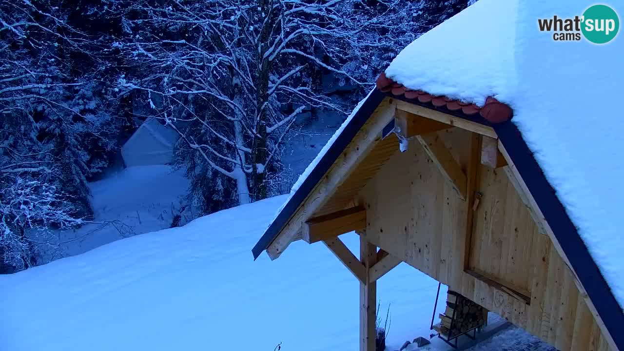 Webcam Lukanja – Pohorje houses a Water village