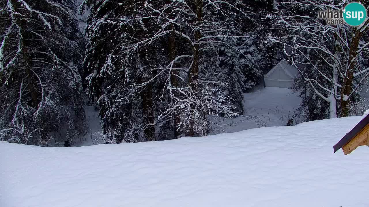 Webcam Lukanja – Pohorje houses a Water village