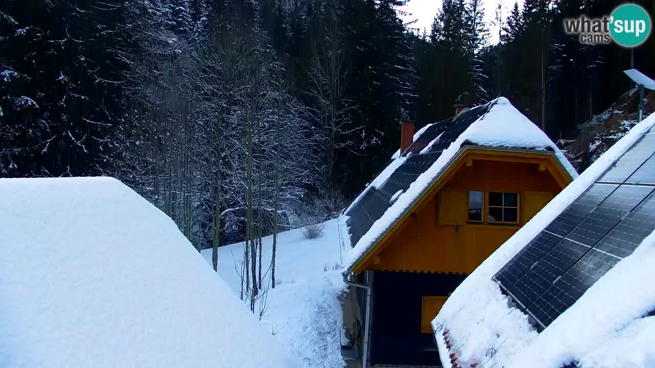 Web kamera Lukanja – Water Village | Pohorje Houses