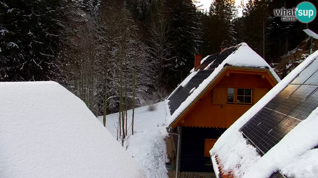 Webcam Lukanja – Water Village | Pohorje Houses