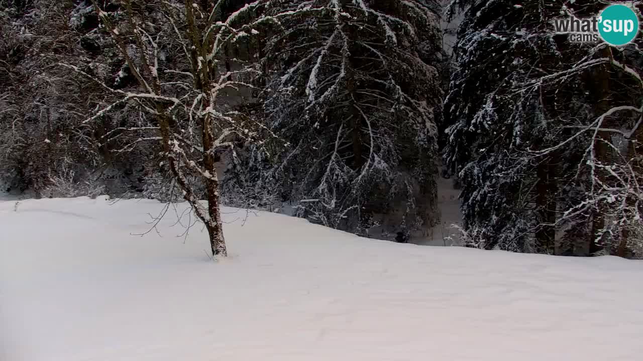 Webcam Lukanja – Water Village | Pohorje Houses