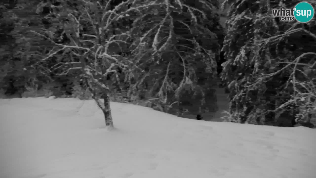 Webcam Lukanja – Pohorje houses a Water village
