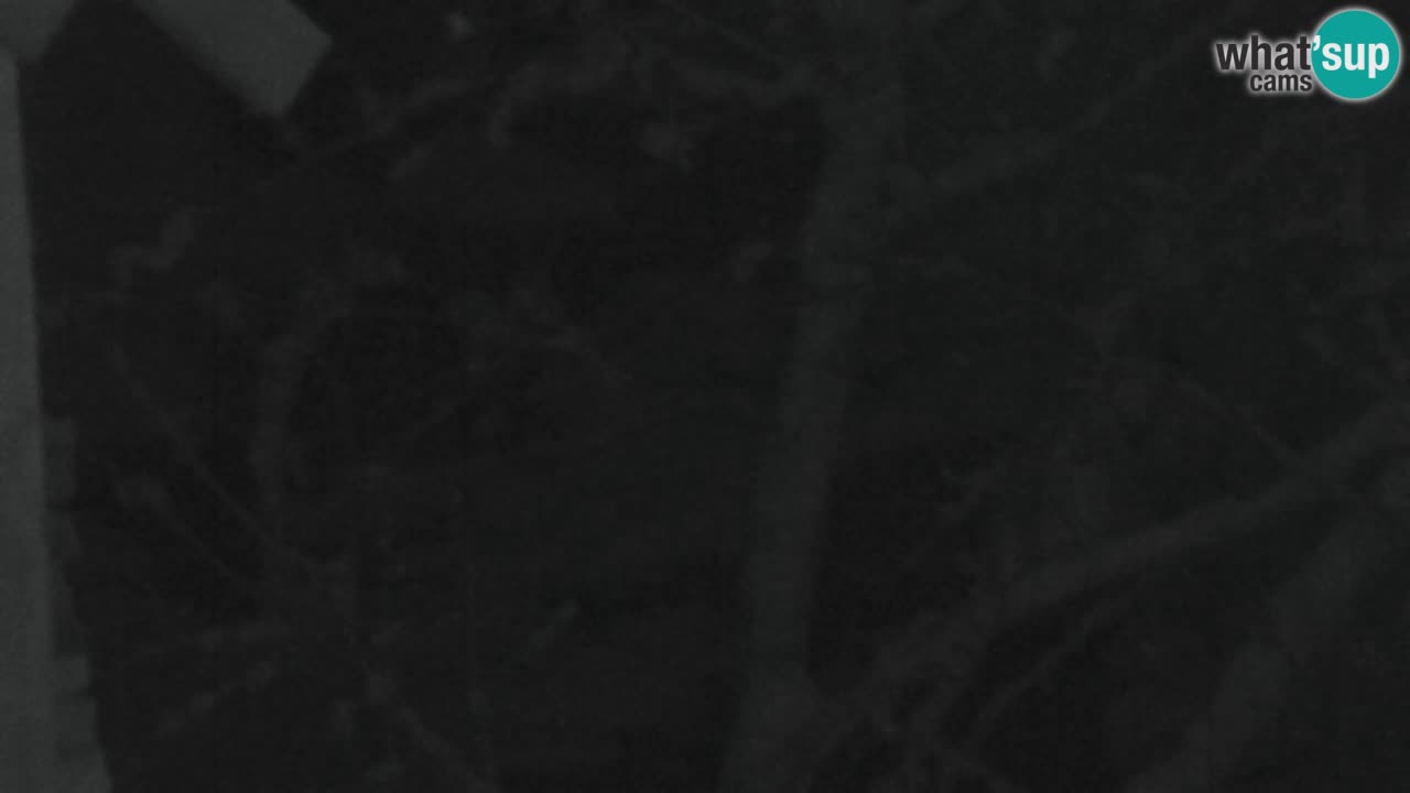 Webcam Lukanja – Water Village | Pohorje Houses