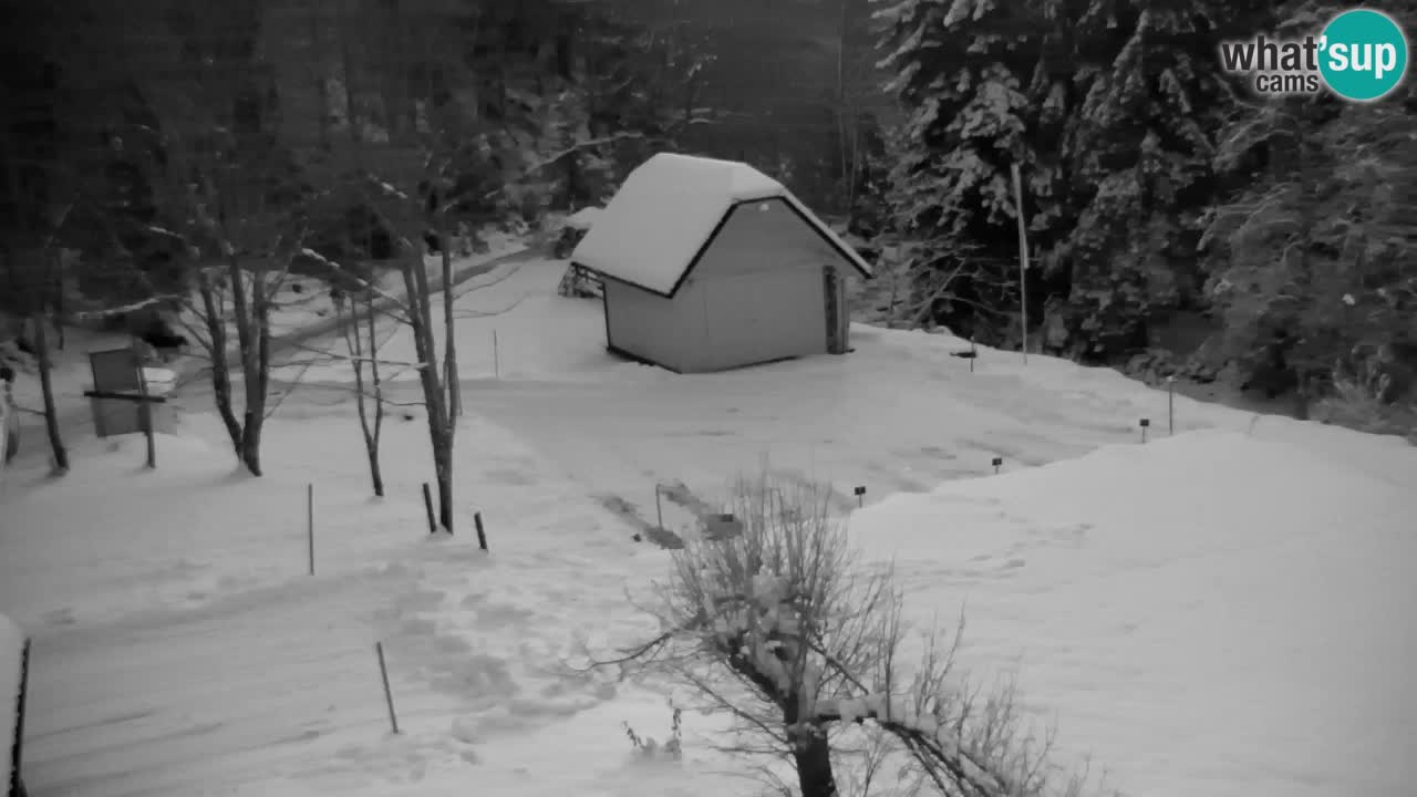 Webcam Lukanja – Water Village | Pohorje Houses