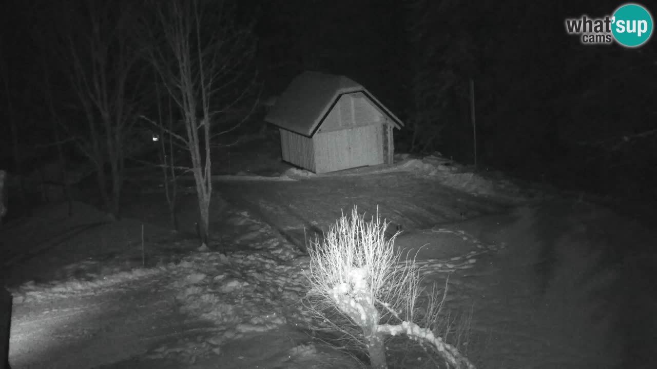 Spletna kamera Lukanja – Water Village | Pohorje Houses