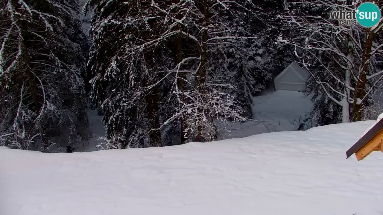 Webcam Lukanja – Pohorje houses a Water village