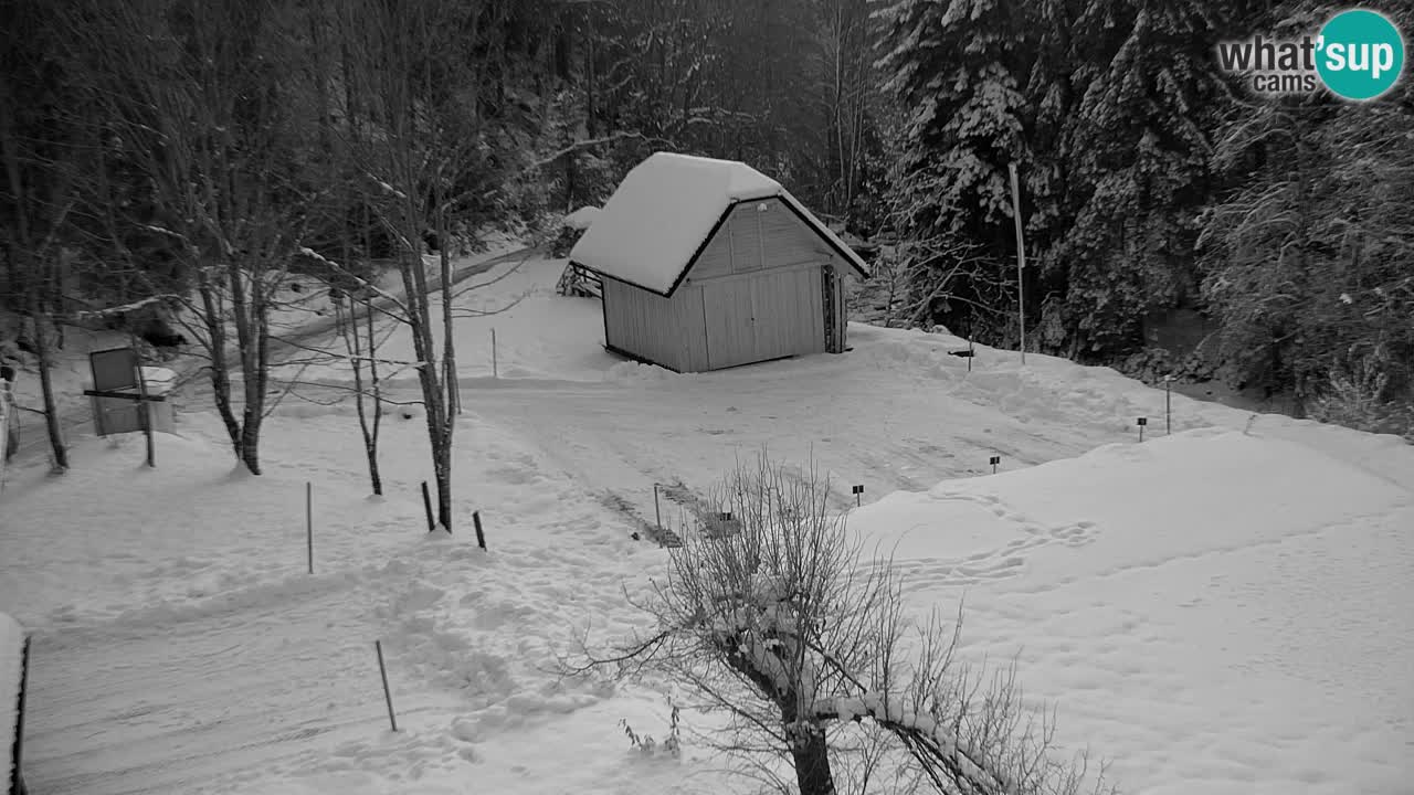 Spletna kamera Lukanja – Water Village | Pohorje Houses