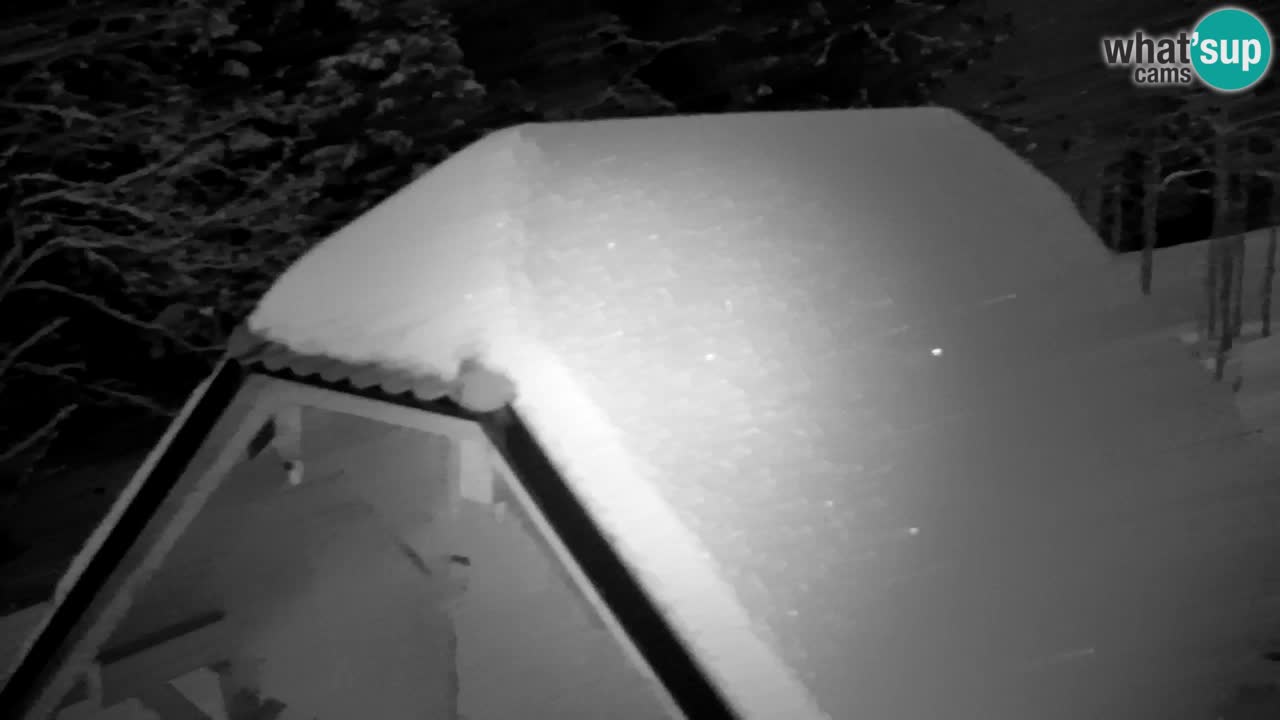 Webcam Lukanja – Pohorje houses a Water village