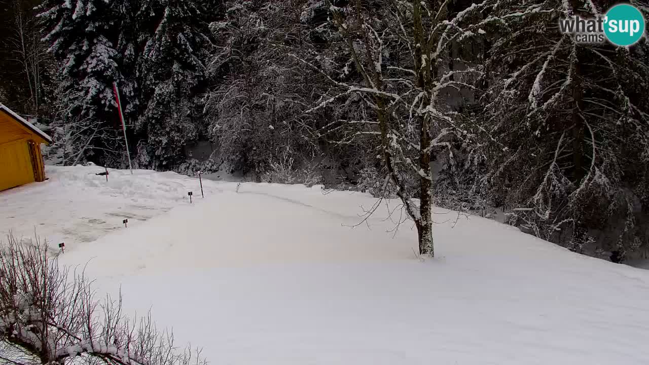 Webcam Lukanja – Pohorje houses a Water village