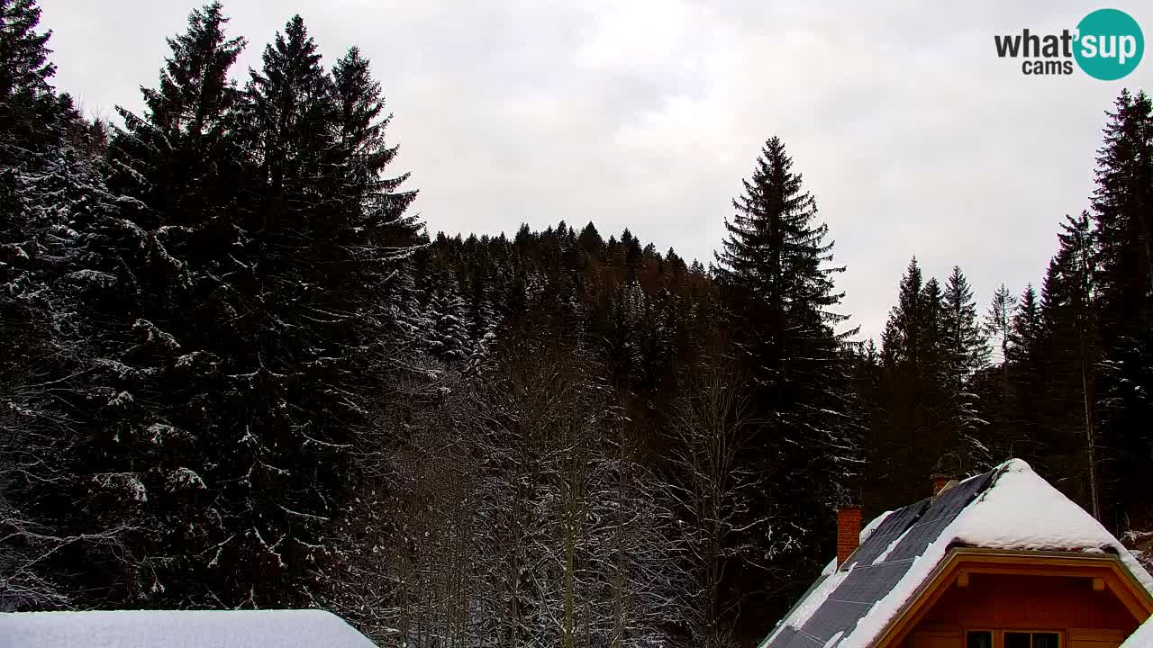 Spletna kamera Lukanja – Water Village | Pohorje Houses