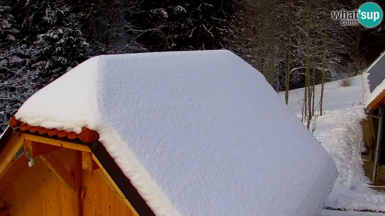 Webcam Lukanja – Pohorje houses a Water village