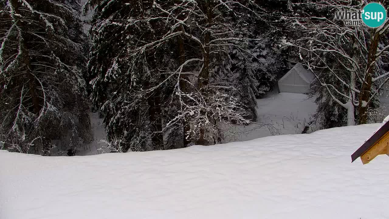 Webcam Lukanja – Pohorje houses a Water village
